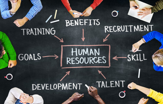 Human Resources Audit and Development